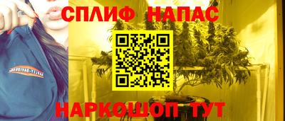 прущие грибы Нарткала
