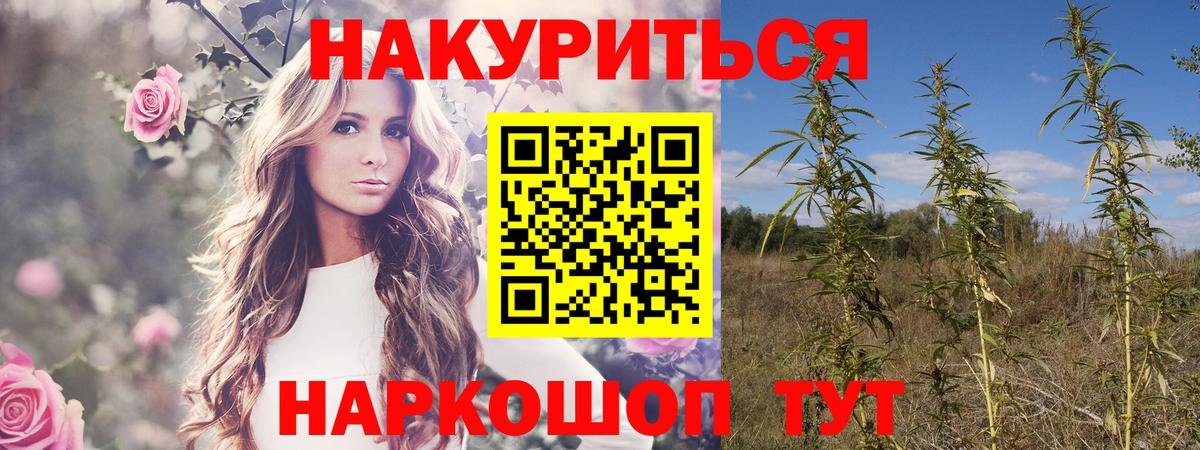 Бошки Шишки ГИДРОПОН  Каннабис ГИДРОПОН  Тосно  Вход с VPN  Канабис LSD WEED 